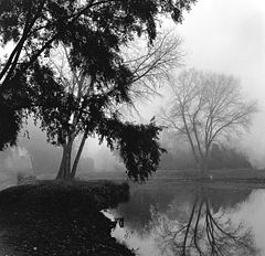 фото "fog"