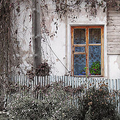 photo "Suzdal autumn 2"