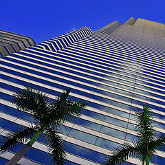 photo "Reflections up to Sky"