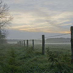 photo "Morning foggy."