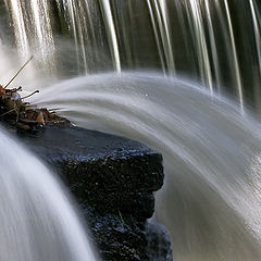 photo "Chappaqua Creek II"