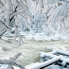 photo "Winter fairy tale of the river."