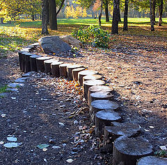 фото "Первые заморозки."