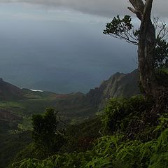 photo "Kalalu Valley, Kauai, Hawaii"