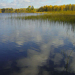 фото "Осенний день  (2)"