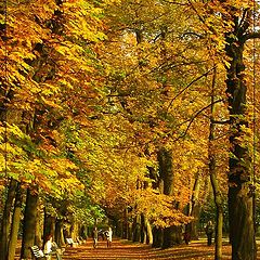 photo "Amber Alley"