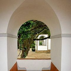 фото "Convento dos Capuchos"