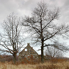 фото "A cloudy day"