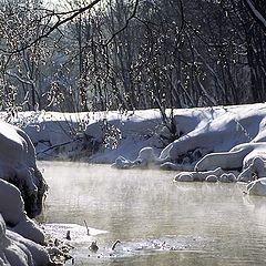 photo "In the frosty morning at the river..."