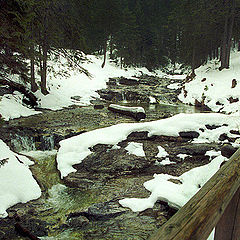 photo "Tatry X"