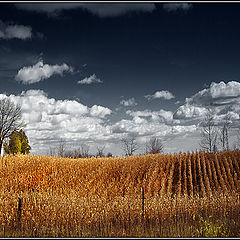 photo "Fall on the Outskirts"