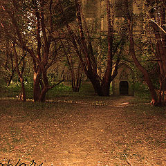 photo "A road to the temple"