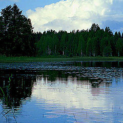 photo "Blue evening."