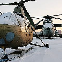 фото "Уснуть... и видеть сны?"