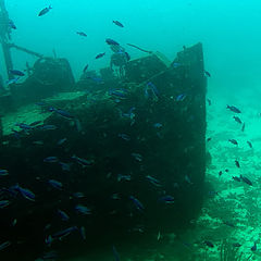 фото "Shipwreck #1"