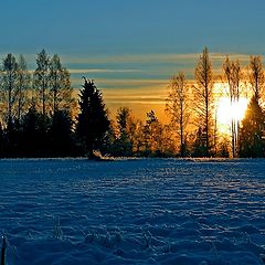 фото "Cold morning"