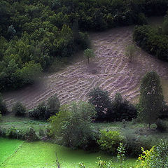 photo "hayfield"