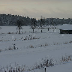 фото "Finnish Winter"