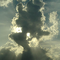photo "angel"