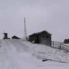фото "GSM и нищета"