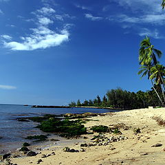 фото "Hale`iwa Alii Beach Park, Oahu - Hawaii"