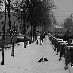 фото "городской сюжет"