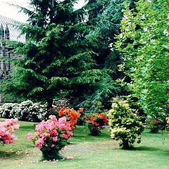 photo "Church Gardens"