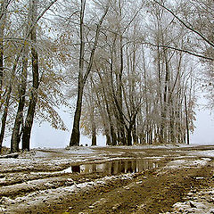 фото "Слякоть"