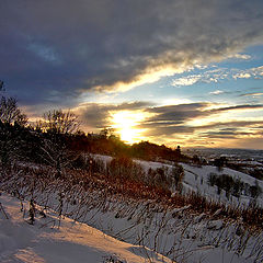 photo "Winter sunset"