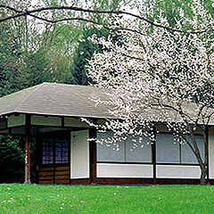 photo "The house under the sakura"