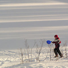 photo "Winter walks"