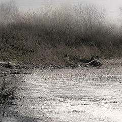 photo "Coast of Dead lake"