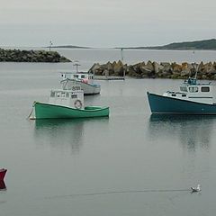 photo "Calm Harbor"