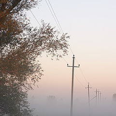 photo "Electricity from a fog"