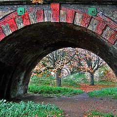 photo "The Arch"