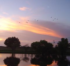 photo "just a sky"