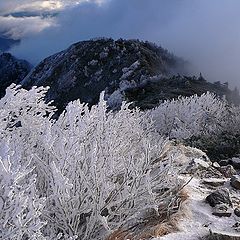 photo "mountain way"