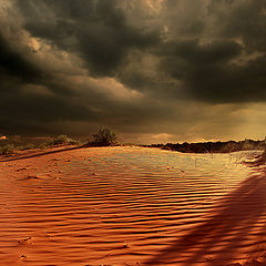 photo "Coral Pink Sand Dunes"