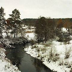 photo "Winter begin!"