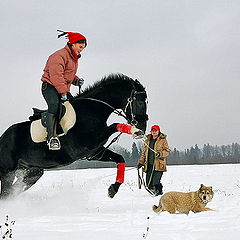 фото "Наезд :)"