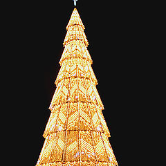 фото ""Christmas Tree""