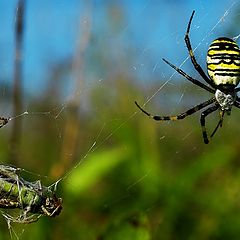 photo "life is brutal"