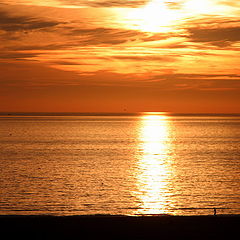 фото "Sunset in Santa Monica, California"