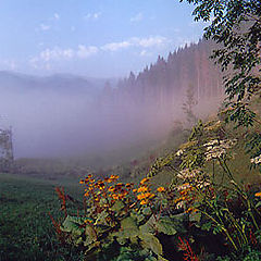 фото "УКРАИНА КАРПАТЫ"