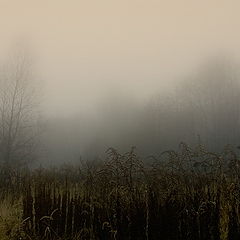 фото "Auschwitz - Alone in park"