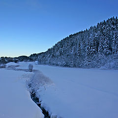 photo "Winter frost"