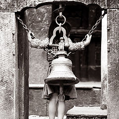photo "The little bell"