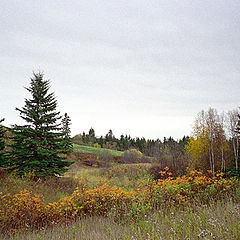 photo "It may look like Russia, however it`s Canada."