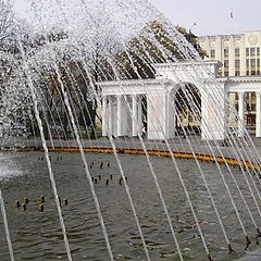 photo "• fountain"