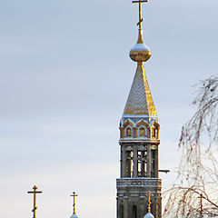 photo "New domes"